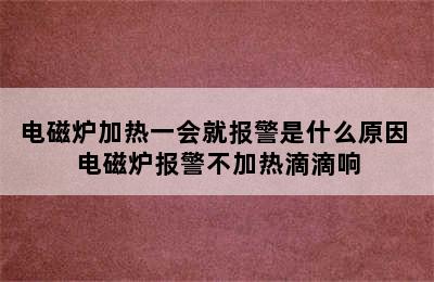 电磁炉加热一会就报警是什么原因 电磁炉报警不加热滴滴响